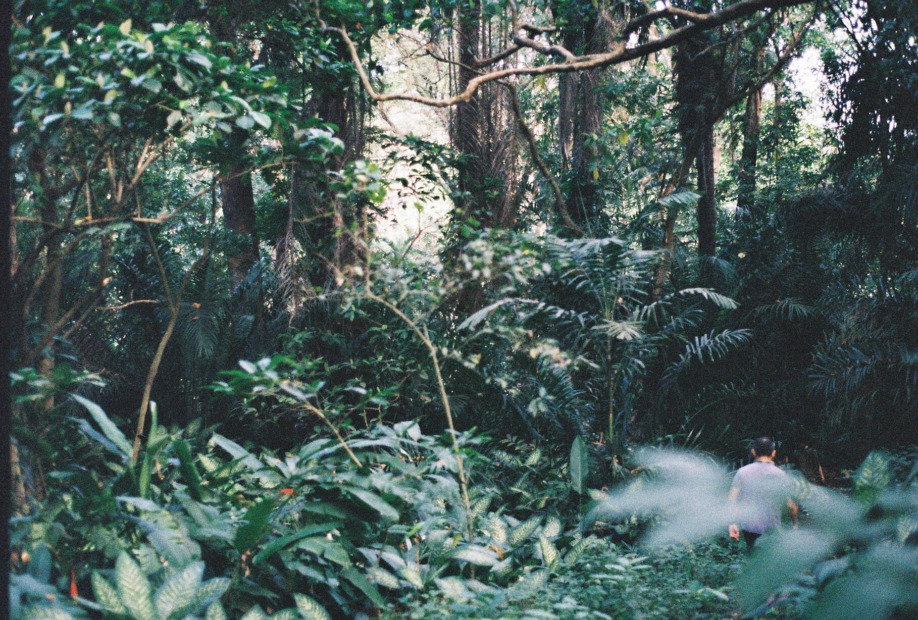 Untitled Untitled